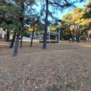 솔숲공원 화장실 이미지