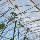 화수농장 이미지