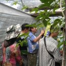 황소농장 이미지