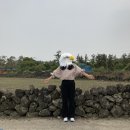 화남공단로 | [5/7-10] 제주도여행 2일차!!!