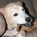 삼랑진농협 하나로마트 이미지