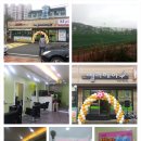 벨라헤어 이미지