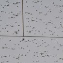 강동석정형외과의원 이미지