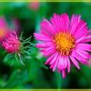 수원자연한의원 이미지