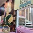 팡팡애견 | 팡팡키즈풀빌라 독채1동 베이비핑크 애견동반 키즈애견펜션 후기