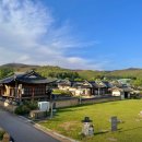 울릉두레관광주
