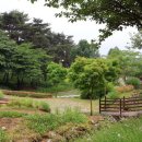 삼선산수목원 숲속도서관 이미지