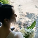 제주 터널 스냅 촬영 후기, 6월 초록빛과 화이트 드레스