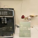 고양이의 산책:묘책 이미지