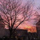 행복한개 이미지