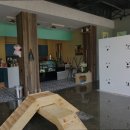 펫앤스토리 이미지