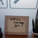 보리네펫미용 이미지