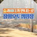 서천해양캠핑장 이미지