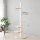 오로라 캣 이미지