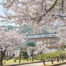 (주)하얀봄