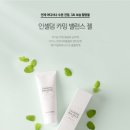 인셀덤 광주
