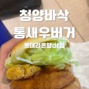 롯데리아 온양점 | 롯데리아 신메뉴 청양 바삭 통새우버거 후기｜롯데리아 온양DT점