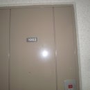 분당-205 이미지