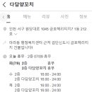 다담양꼬치 이미지