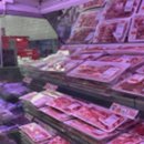 모도리어촌체험휴양마을 이미지