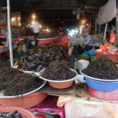 삼천포차 이미지