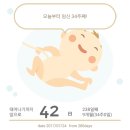 하나네 이미지