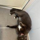 화정글샘도서관 화장실 이미지