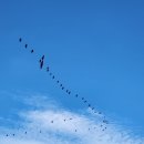 평강카크리닉 이미지