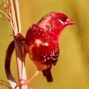 땅그리고공인중개사사무소 이미지