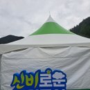 태백파크 | 신비로운 강원투어 태백 후기 365 세이프타운 통리탄탄파크 기억을 품는 길 다자녀 무료 입장 핵이득