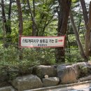 [여행] 서울 계곡 관악산 신림계곡 가는 법