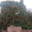 대봉1동행정복지센터 4층 이미지