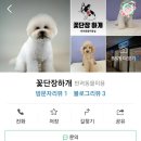 꽃단장하개