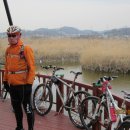 [생태탐방] 소래포구 이미지