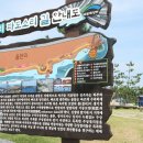 읍천리 이미지