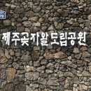 제주 명소 '곶자왈 도립 공원' 후기