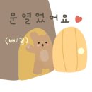 예쁠리 이미지