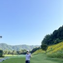 파주CC 동·서코스 18홀 리얼 후기 | 여름 라운딩 수분 관리와 교통 팁까지!