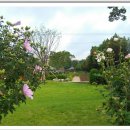 부산수목전시원 이미지