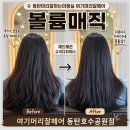 동탄미용실 추천 여기머리잘헤어미용실 볼륨매직 후기