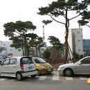 본성동 청소년수련관 이미지