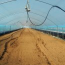 대산농장2 이미지