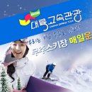 진주 무주 덕유산 리조트 (무주스키장) 셔틀 버스 (시즌버스) 업체 대륙고속관광입니다. 이미지