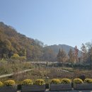 율곡수목원(2) 이미지