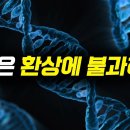 왜 신금을 만든 후 죽는 것이 유전자 입장에서는 유리할까? 이미지