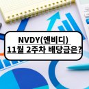 엔비디