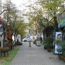 보정동 카페거리 이미지