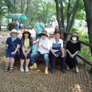 자영이네 이미지