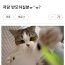 실로