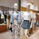 마쥬신세계강남점 | [구매리뷰] 신세계 강남점 마쥬 모슬린 드레스 구입후기